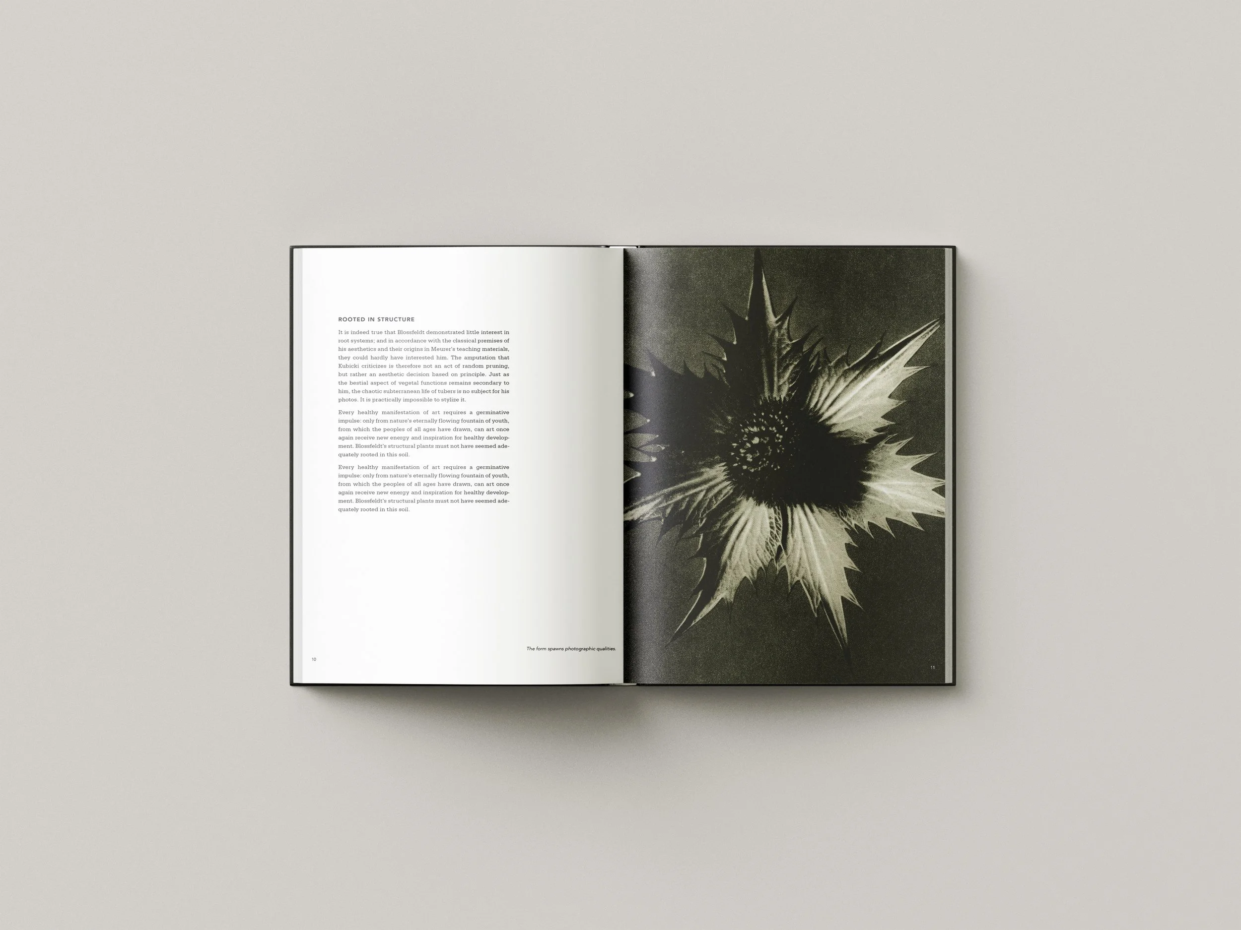 Karl_B_Book_Design_5.jpg