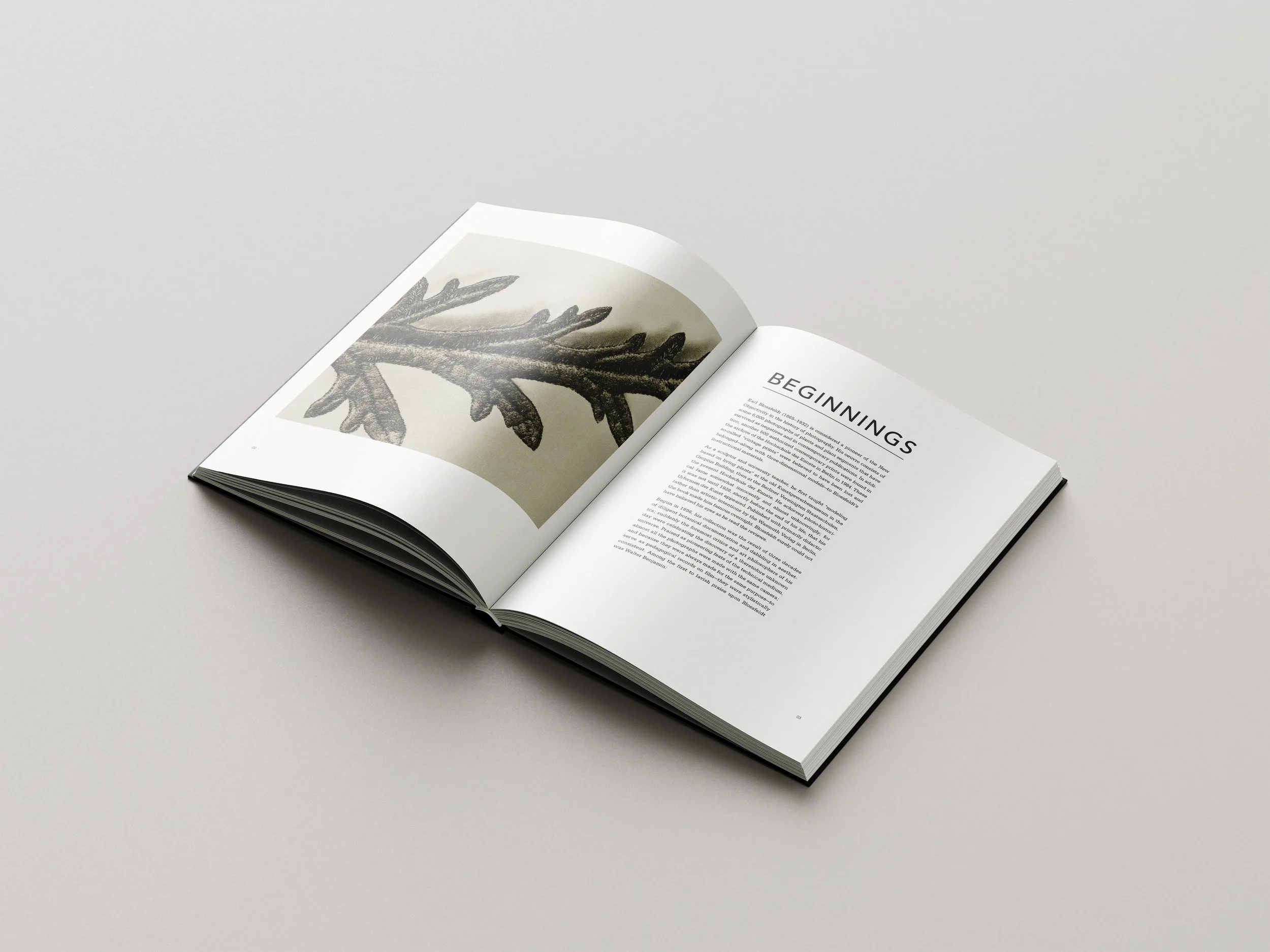Karl_B_Book_Design_3.jpg