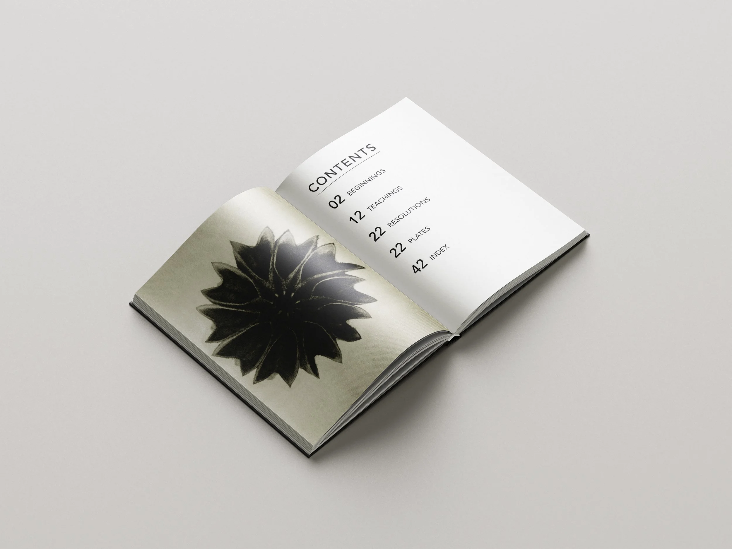 Karl_B_Book_Design_2.jpg