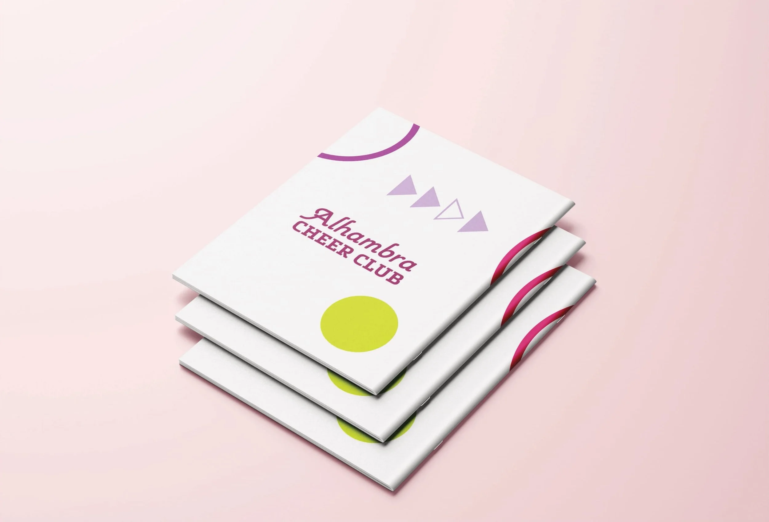 Project 2_Visual Literacy-02 copy.jpg