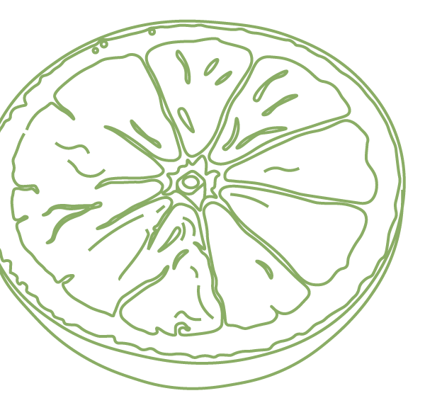 Line drawing of a lemon slice with segments and rind visible.