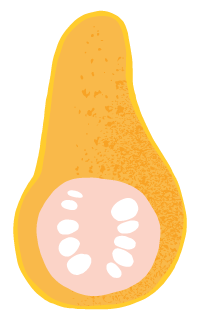 Illustration of a halved papaya showing orange flesh and white seeds inside