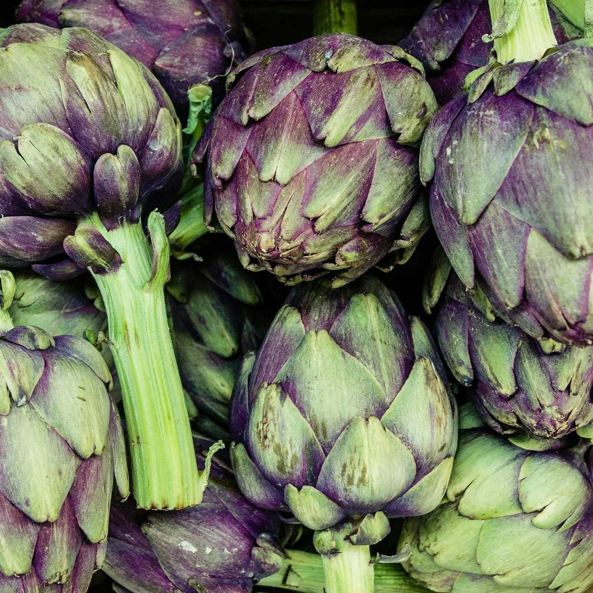 Fresh purple and green artichokes close-up at a market or store.