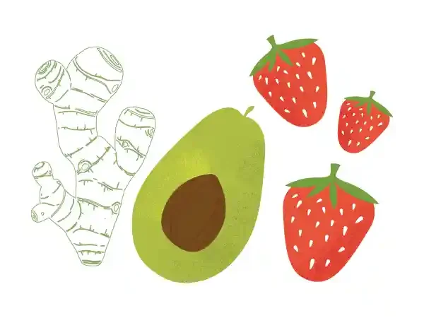 An illustration of a ginger root, an avocado, and three strawberries.