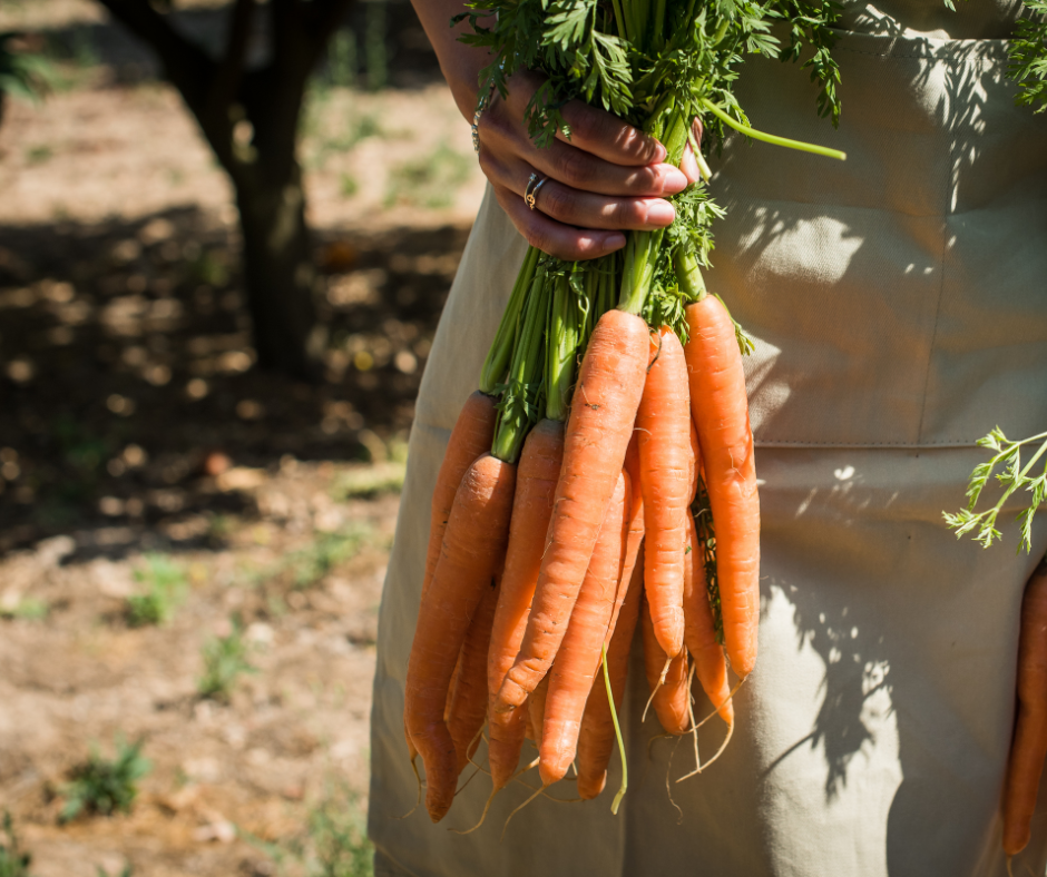 Getting In Touch with Your Roots!