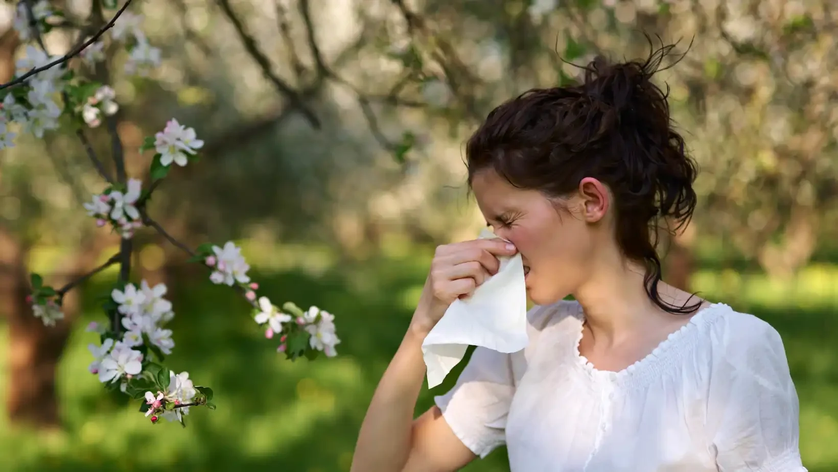 Symptom Soothers: Foods for Allergy Relief
