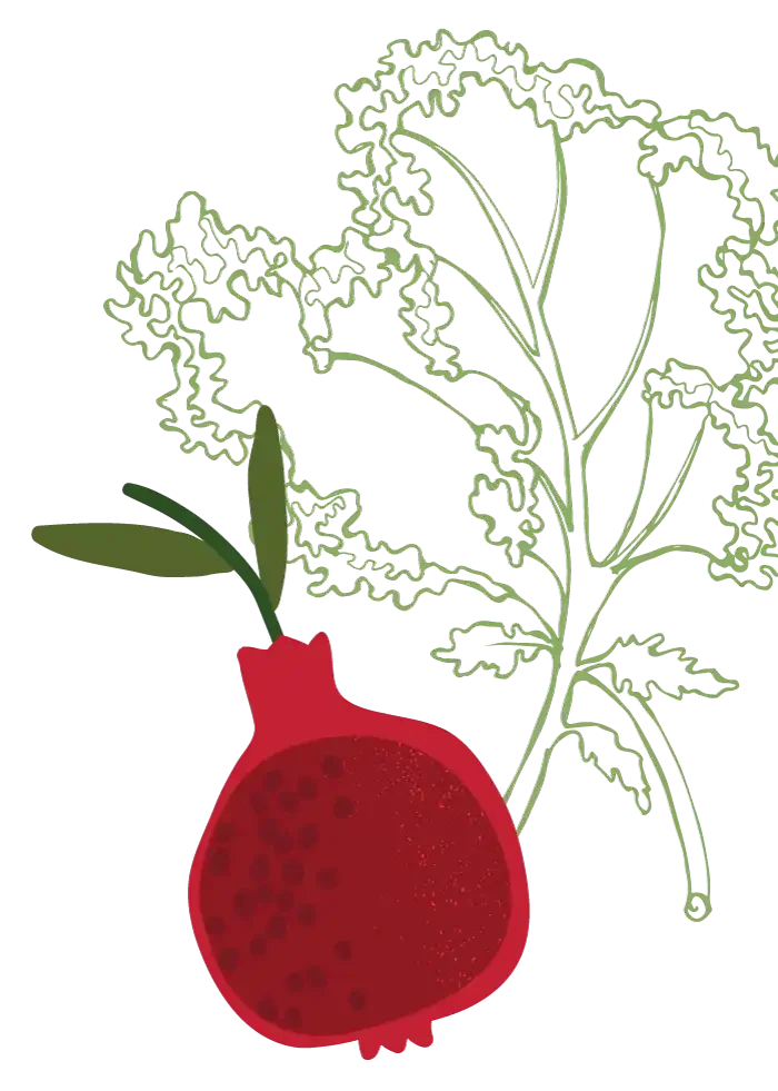 A digital illustration of a pomegranate with leafy herbs plants in the background.