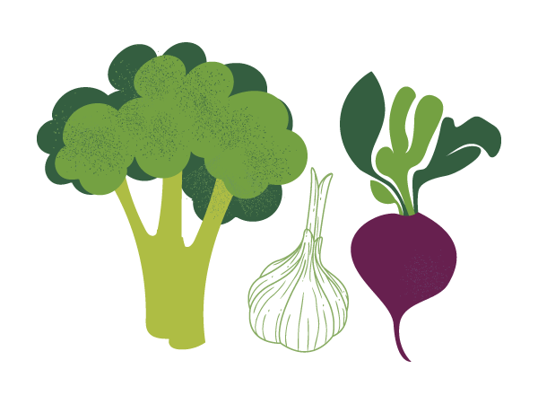 Illustration of broccoli, garlic, and a beet.