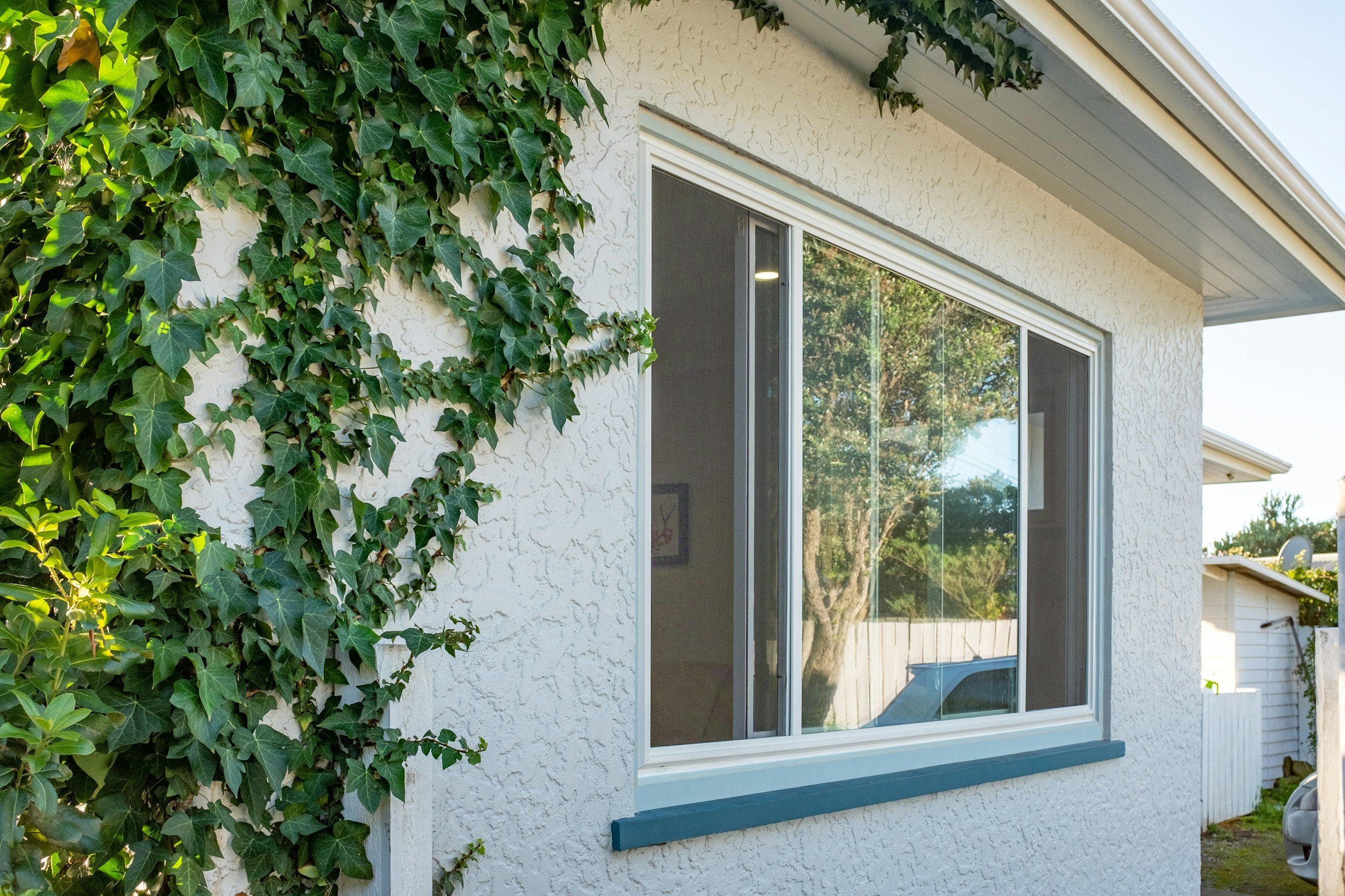 Exterior view of a house with a large window and climbing ivy on the wall, greenery reflected in the window, and a neighboring house partially visible.