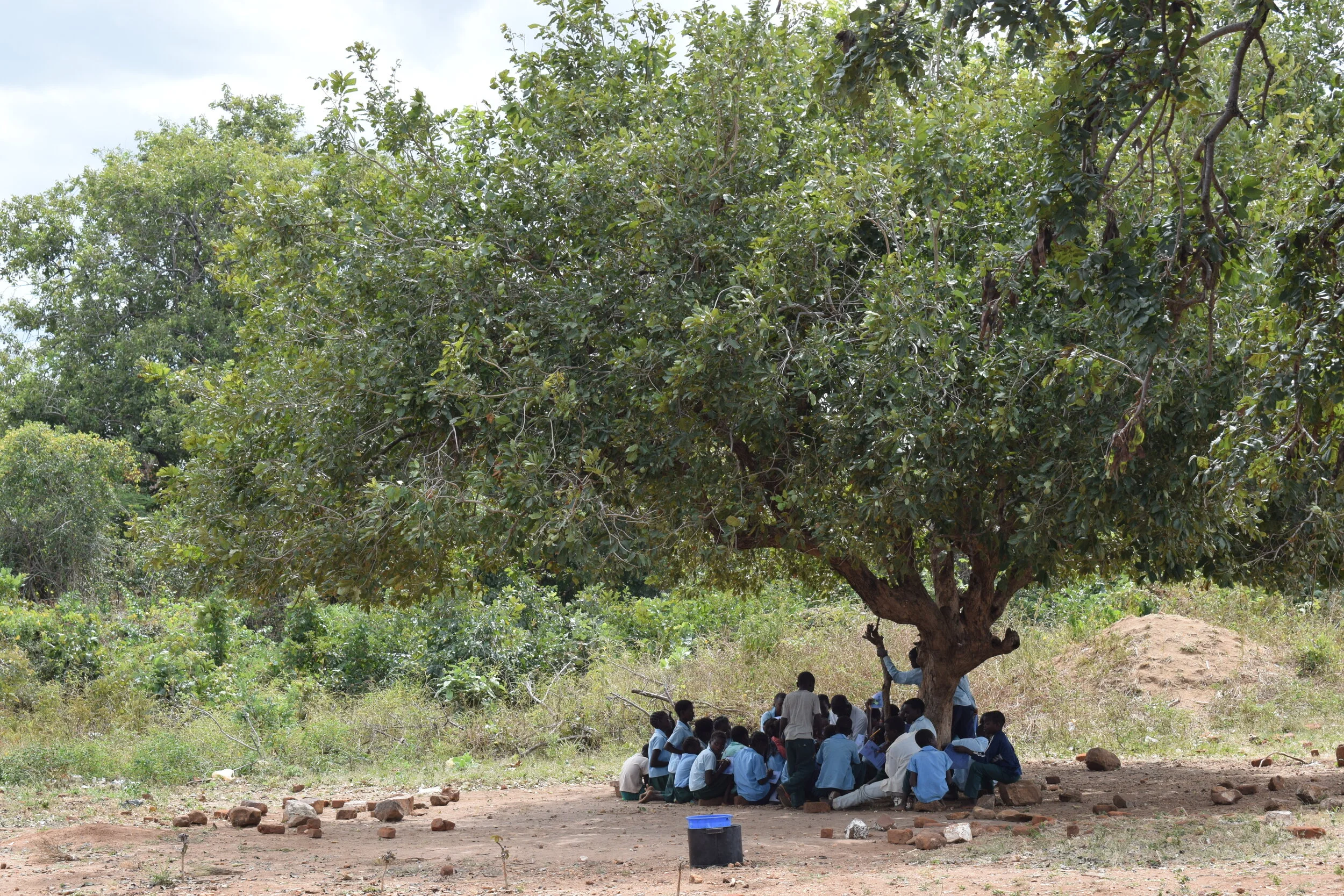 Many Stories Matter...