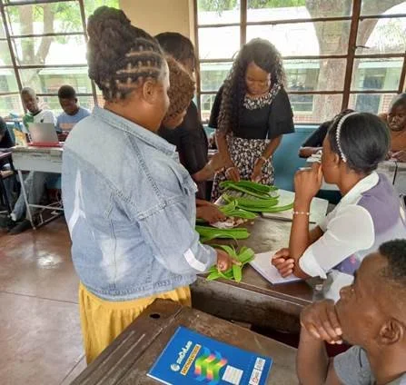 Teacher Training 2024!