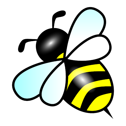 The scholars who broke the spelling bee