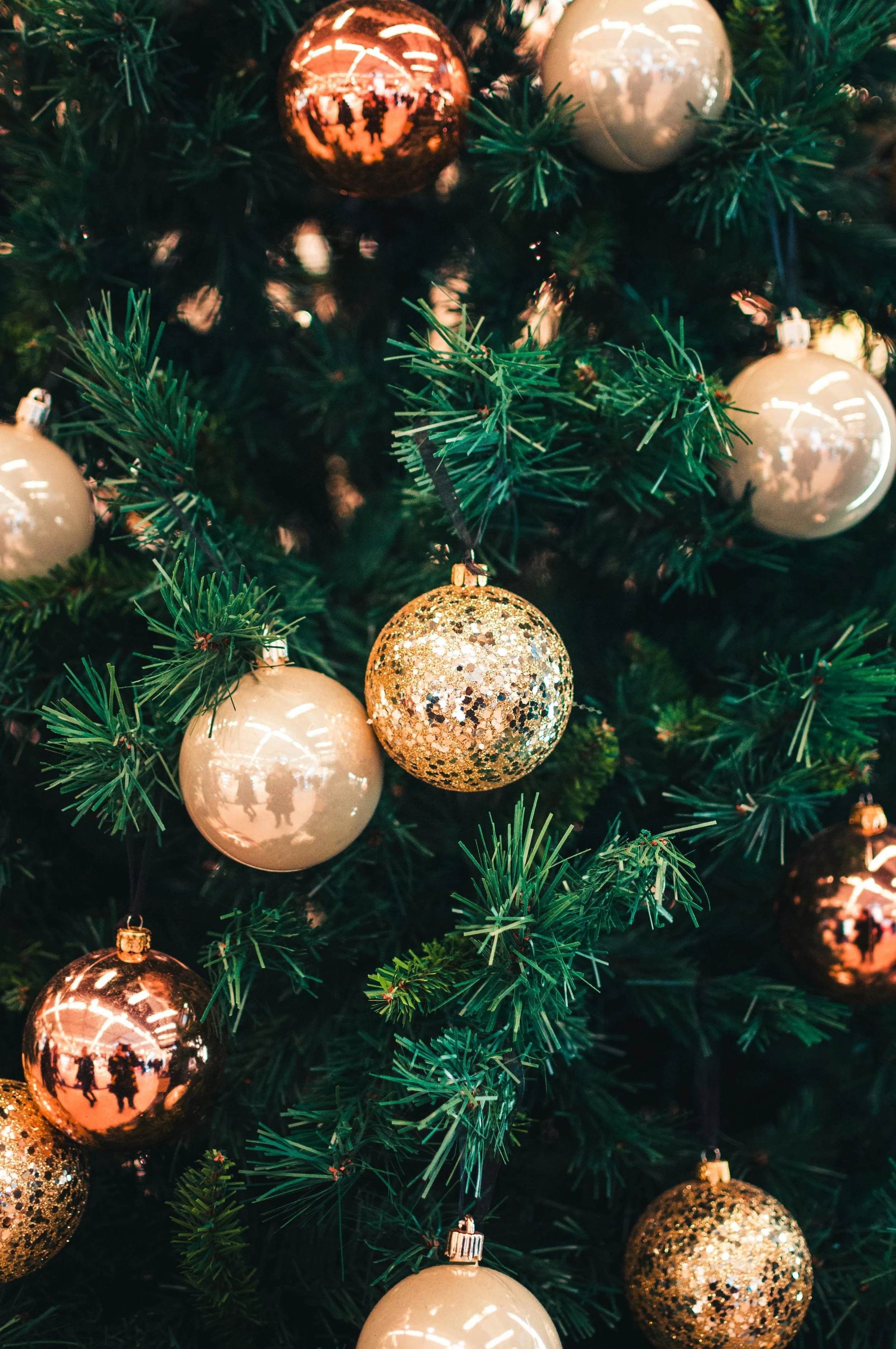 A Christmas Meditation