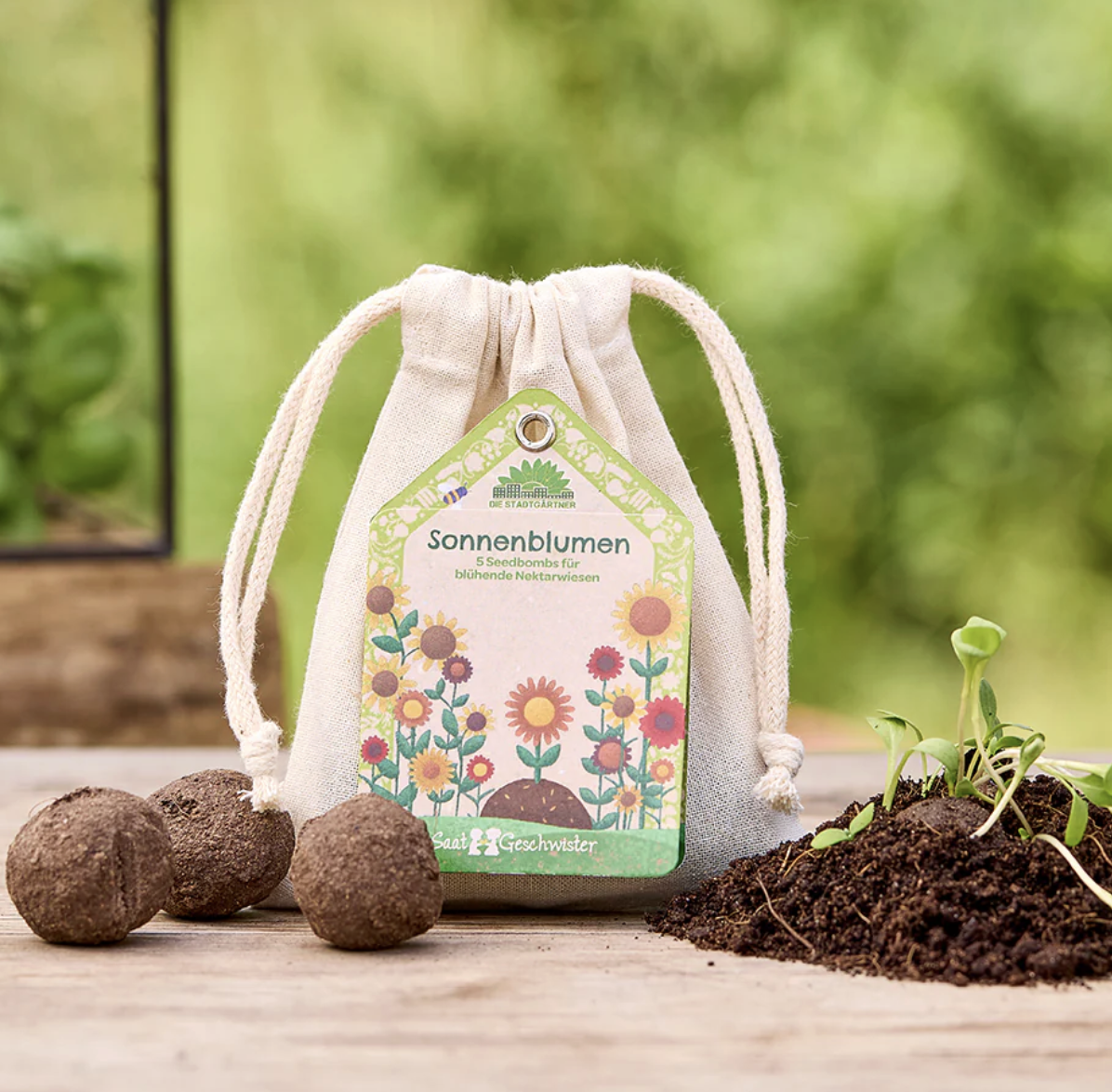 Eco Wildflower Seed Ball Gift Set / 200 pcs
