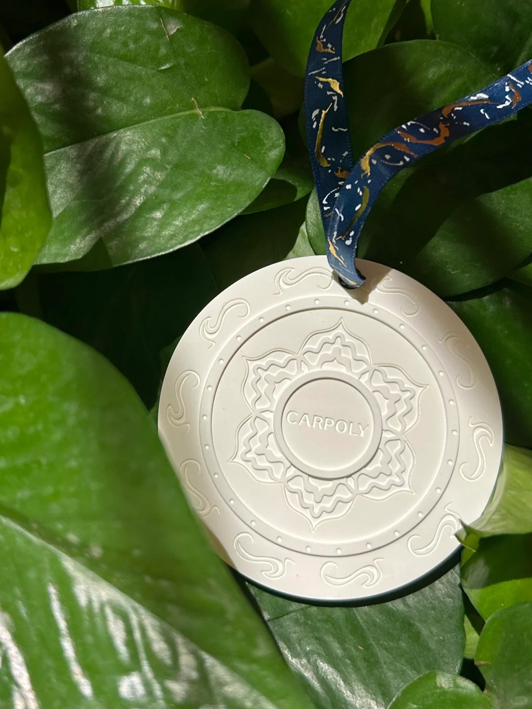 A white medal with intricate embossed patterns and the word 'CARPOLY' in the center, hanging on a blue and gold ribbon surrounded by green leaves.