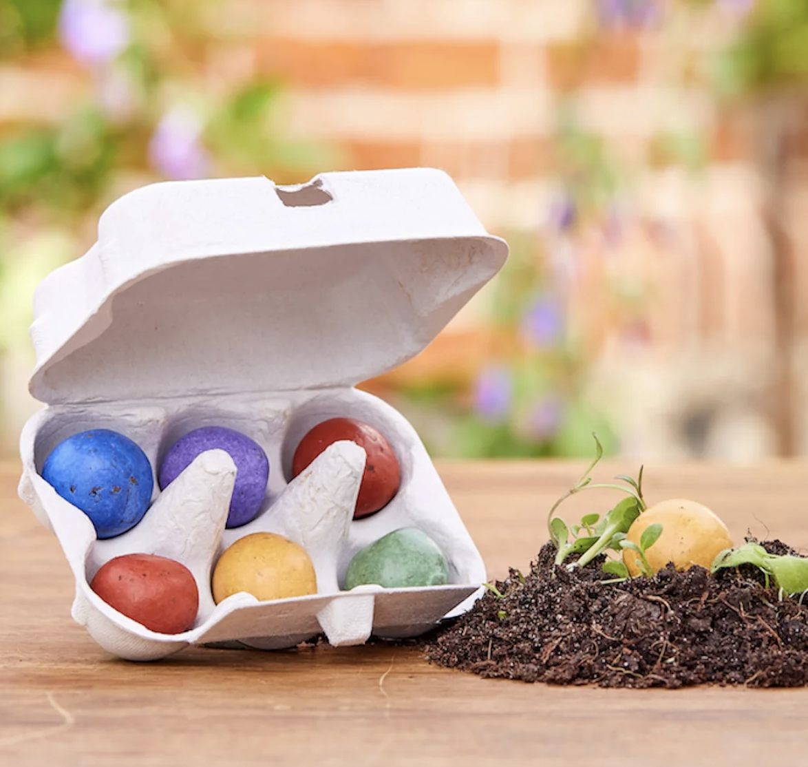 Creative Seed Set / 200 pcs