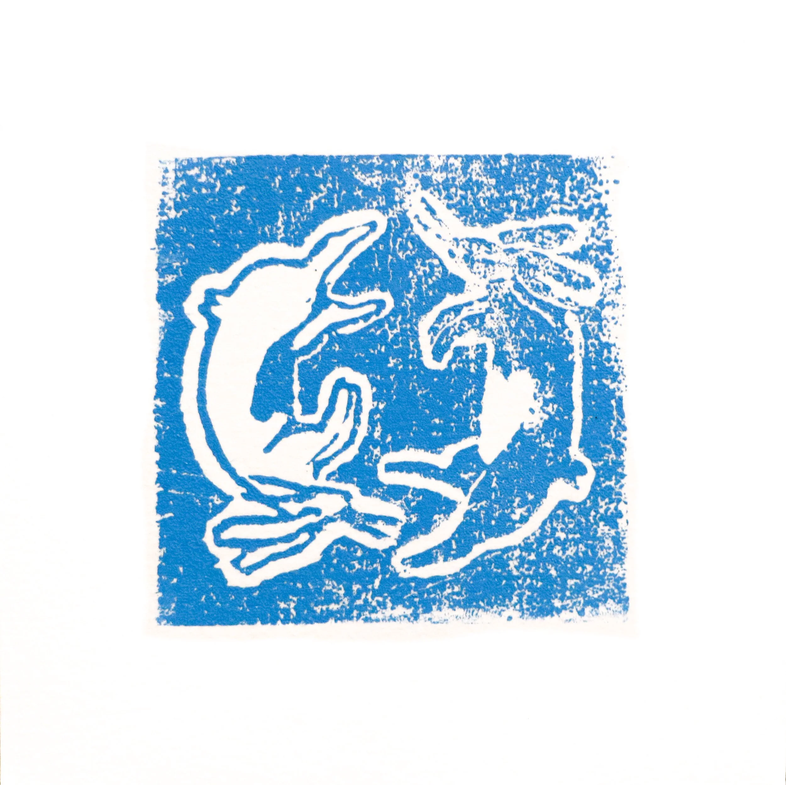 Curry_Lover's Tale.jpg