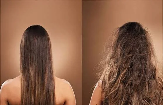 Why Is My Hair So Frizzy? Causes, Solutions &amp; How to Beat Brisbane's Humidity