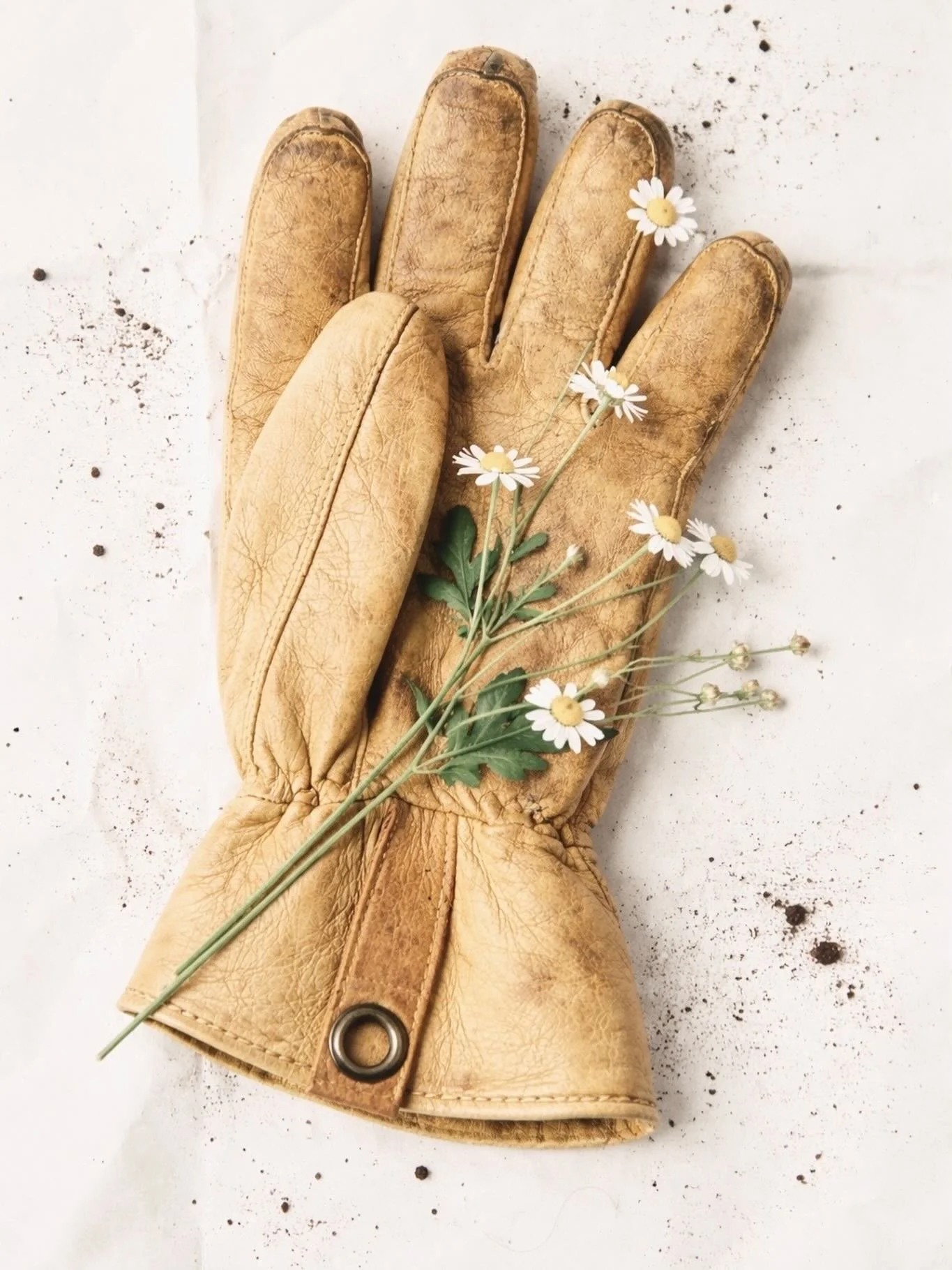 Let&rsquo;s be honest &mdash; March in northern BC isn&rsquo;t tulips and linen dresses.

It&rsquo;s snowbanks, muddy boots, and dreaming about tomatoes anyway.

We&rsquo;re reopening @thehyggehause located on @pineacres.farm this March for our Sprin