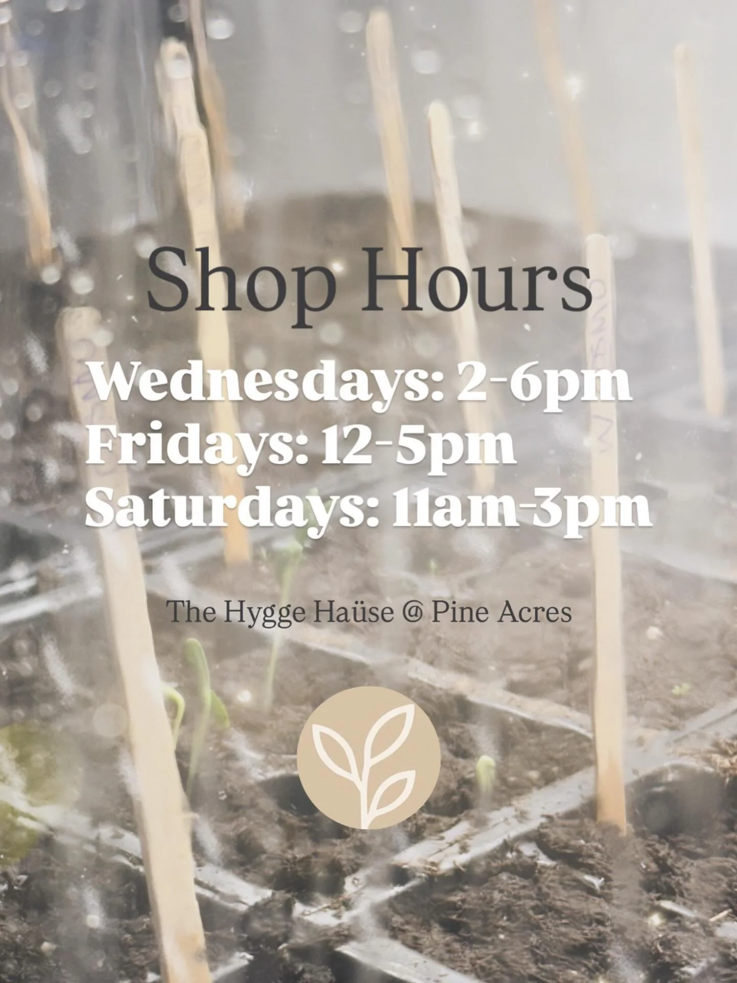 ✨Doors are Open ✨

🌸Our Spring Launch begins now!

The Hygge H&auml;use is welcoming you back for a new season of brighter mornings, thoughtful goods, and quiet rituals. 

Wednesdays 2&ndash;6pm
Fridays 12&ndash;5pm
Saturdays 11&ndash;3pm

A cozy pl