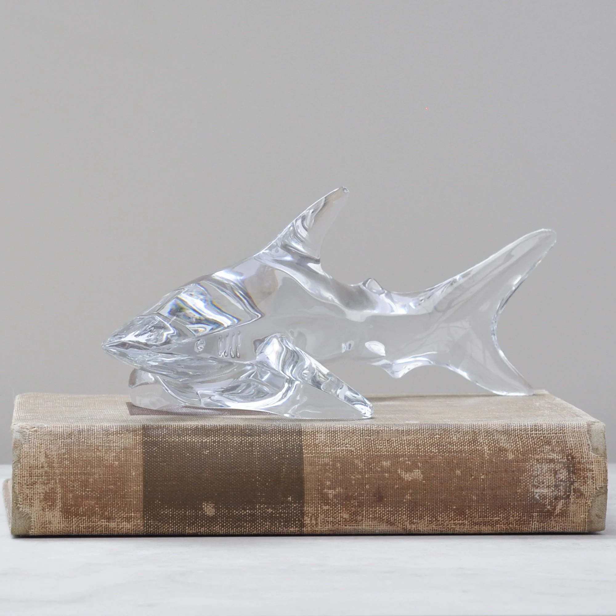 Angled view of Baccarat crystal shark sculpture showing movement and light through clear crystal