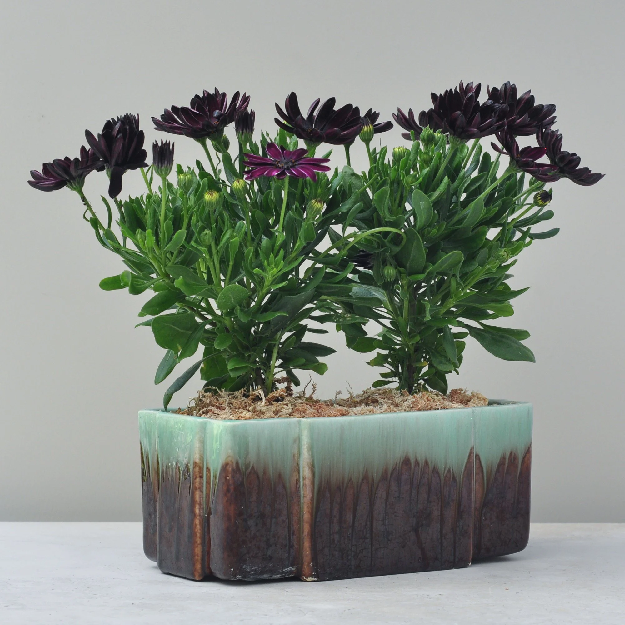 Vintage Australian Trent Art Ware Drip Glaze Planter