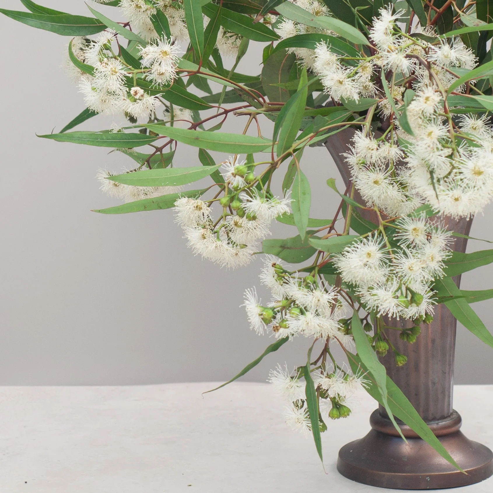 Soft white Australian blooms arranged in a vintage brown vase — styled by Again by Clare.