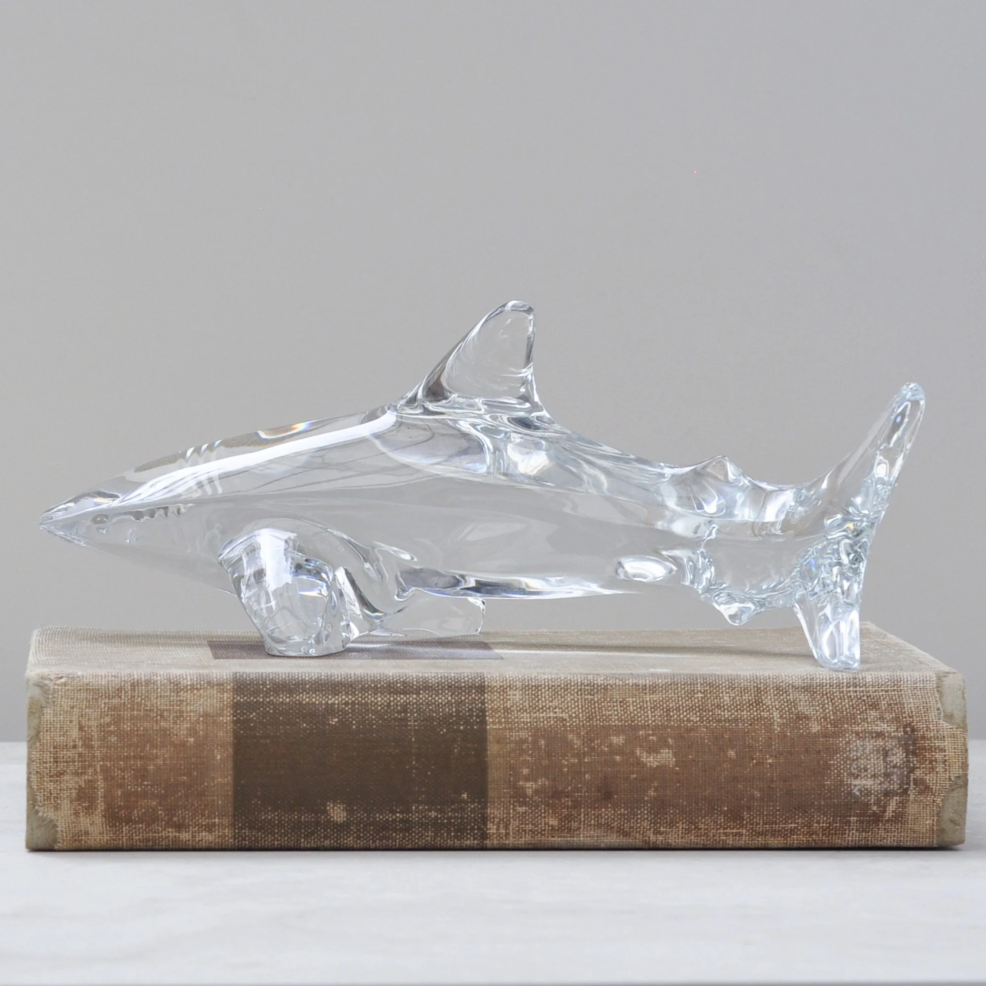 Baccarat crystal shark sculpture viewed from the opposite side, clear crystal with etched details