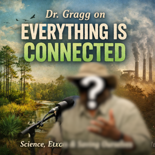 Dr. Richard Gragg’s Call for Environmental Balance