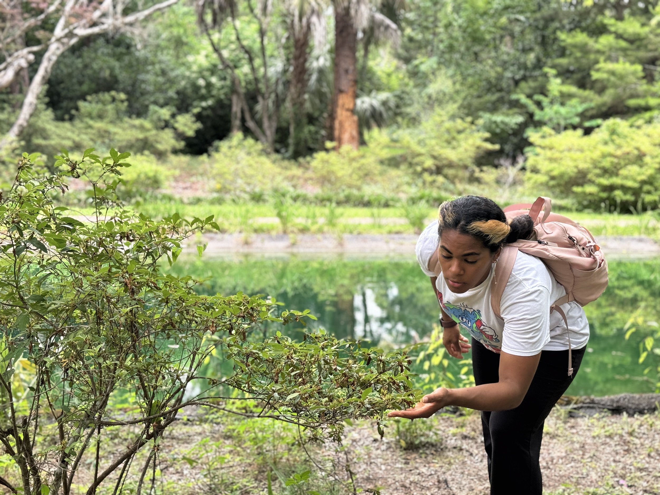 A Visit to Alfred B. Maclay Gardens State Park: Filming for Unity Environmental University's Commencement Ceremony