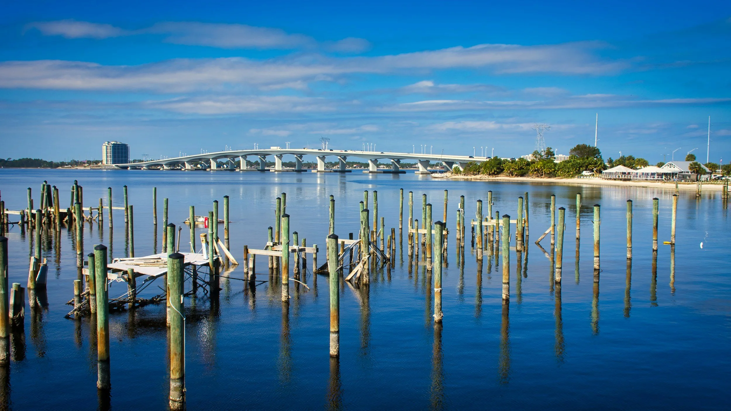 Florida’s Shorelines Decline While Buffalo’s Waters are Thriving