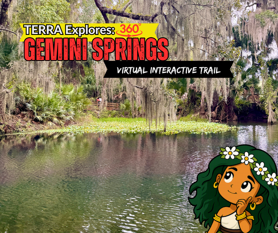 Gemini Springs
