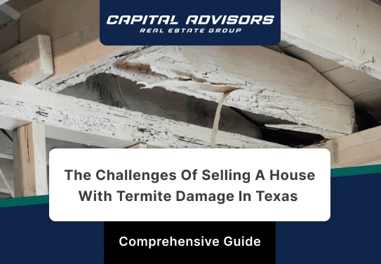 The Challenges of Selling a House with Termite Damage in Texas