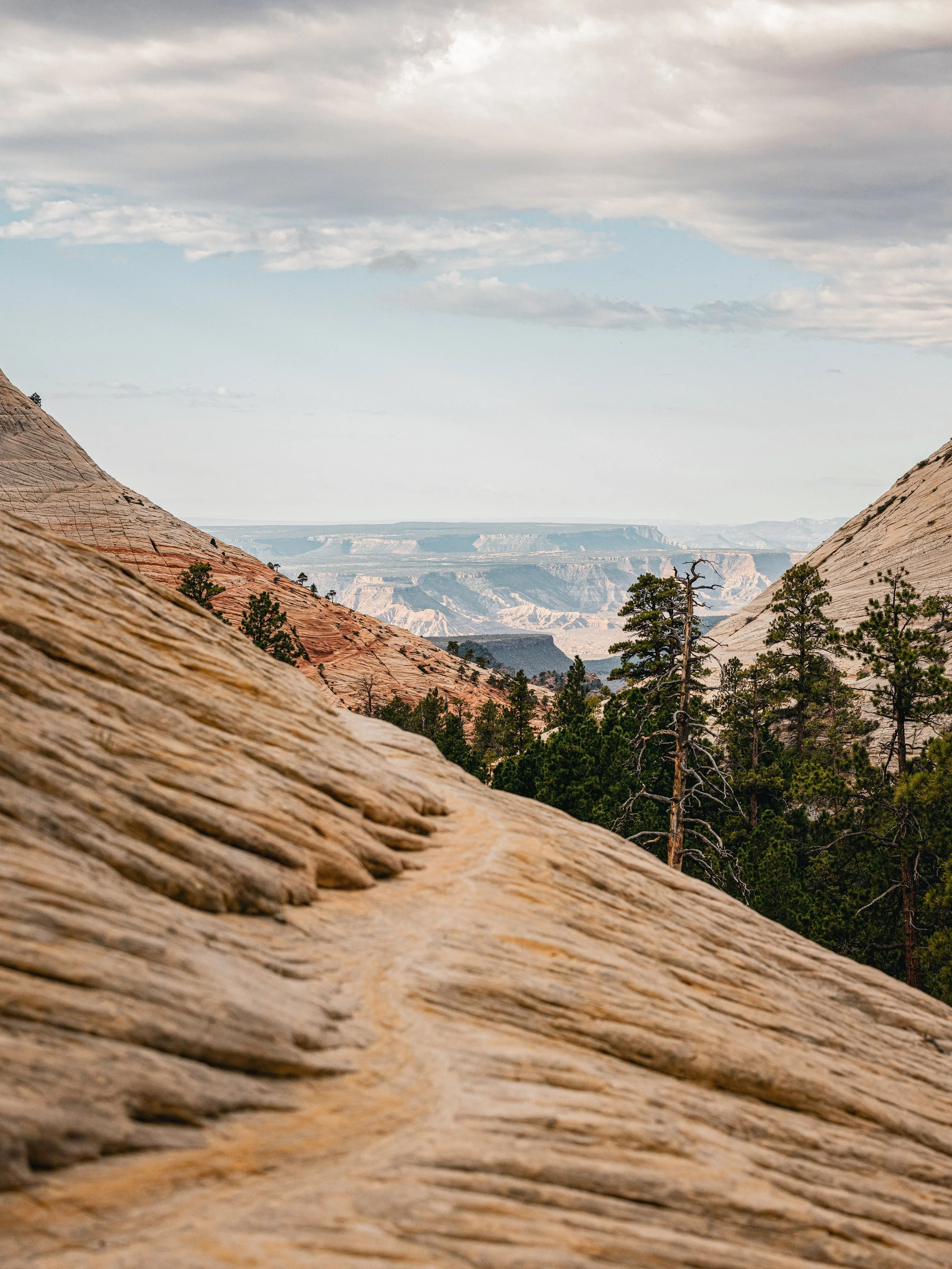 09.21.2022 Wildcat Canyon Trail-72.jpg