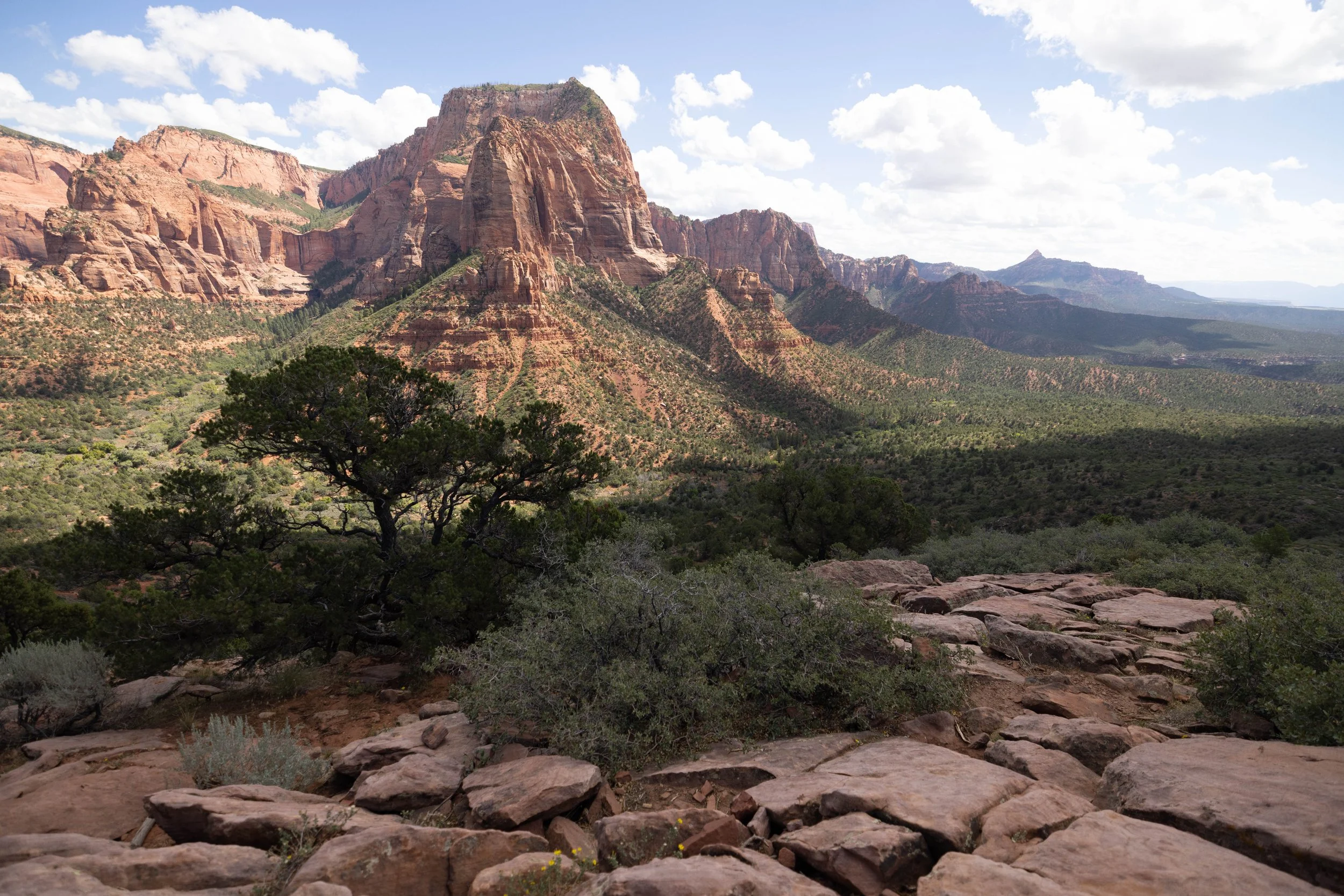 09.22.2022 Zion Sunrise & Arches-103.jpg