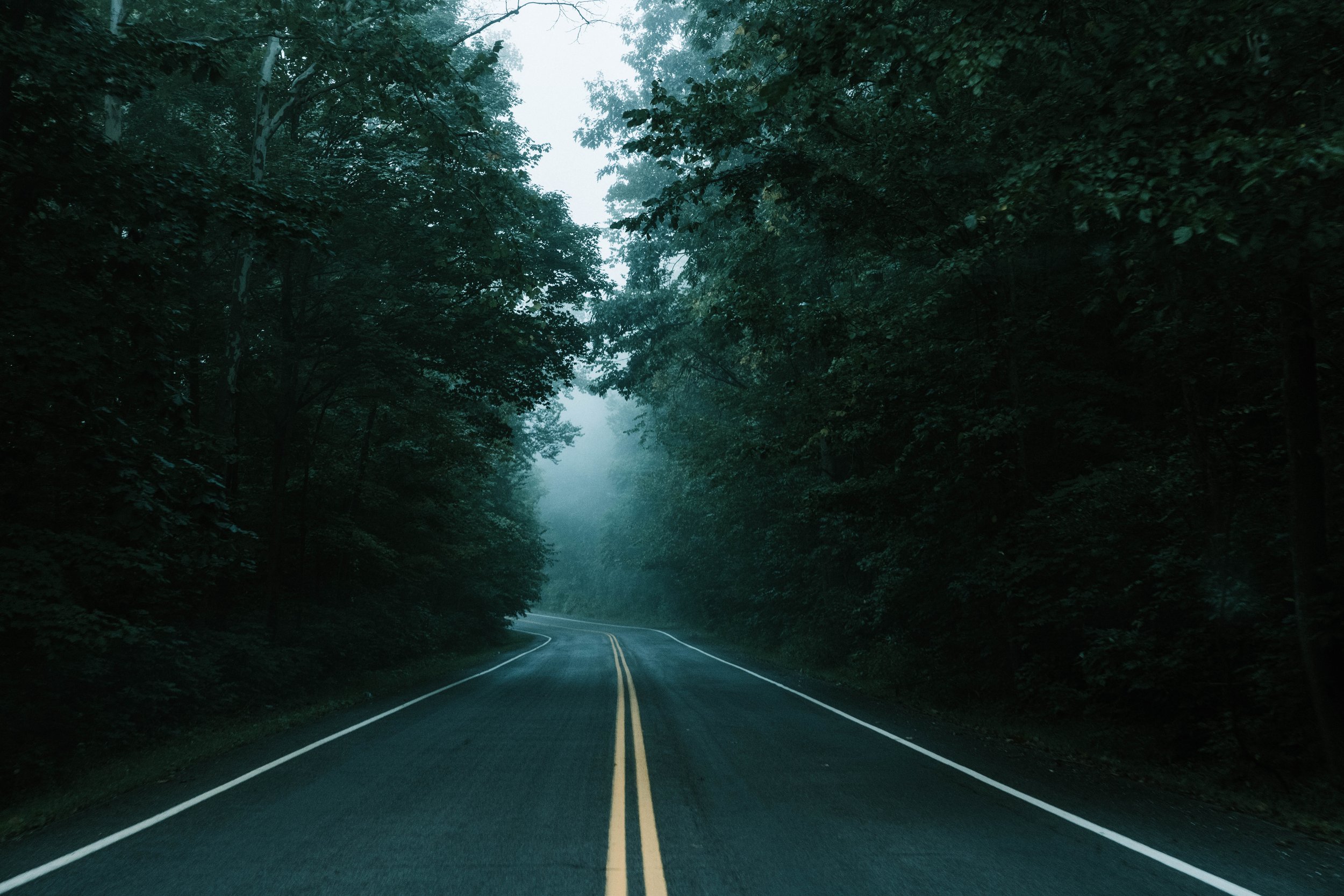 09.07.2022 September Fog-9.jpg