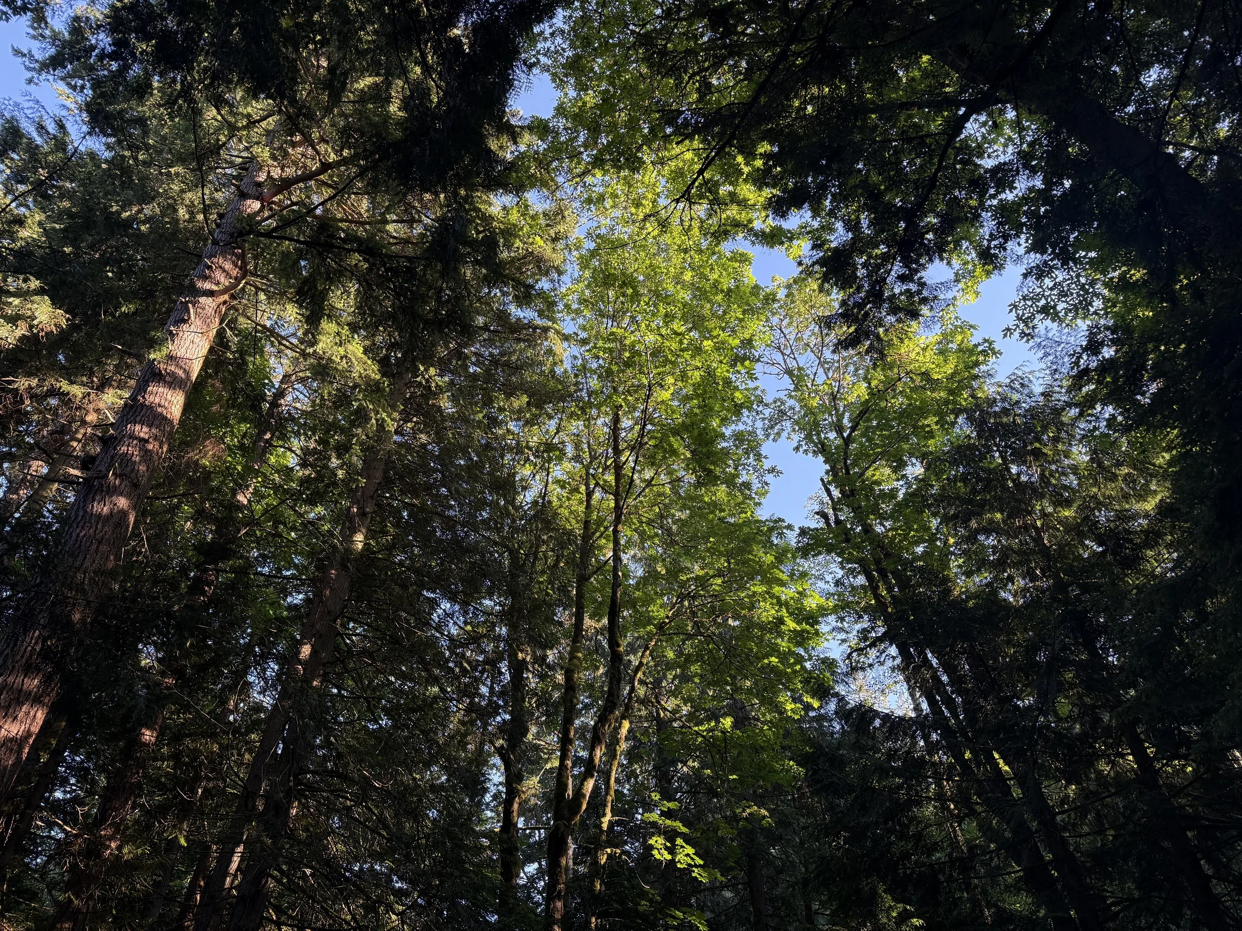Living in Sudden Valley WA: Pros, Cons &amp; What Homebuyers Need to Know