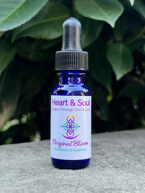 Blue glass dropper bottle labeled "Heart & Soul" with supporting text and floral design, outdoors on a concrete surface with green leaves background.