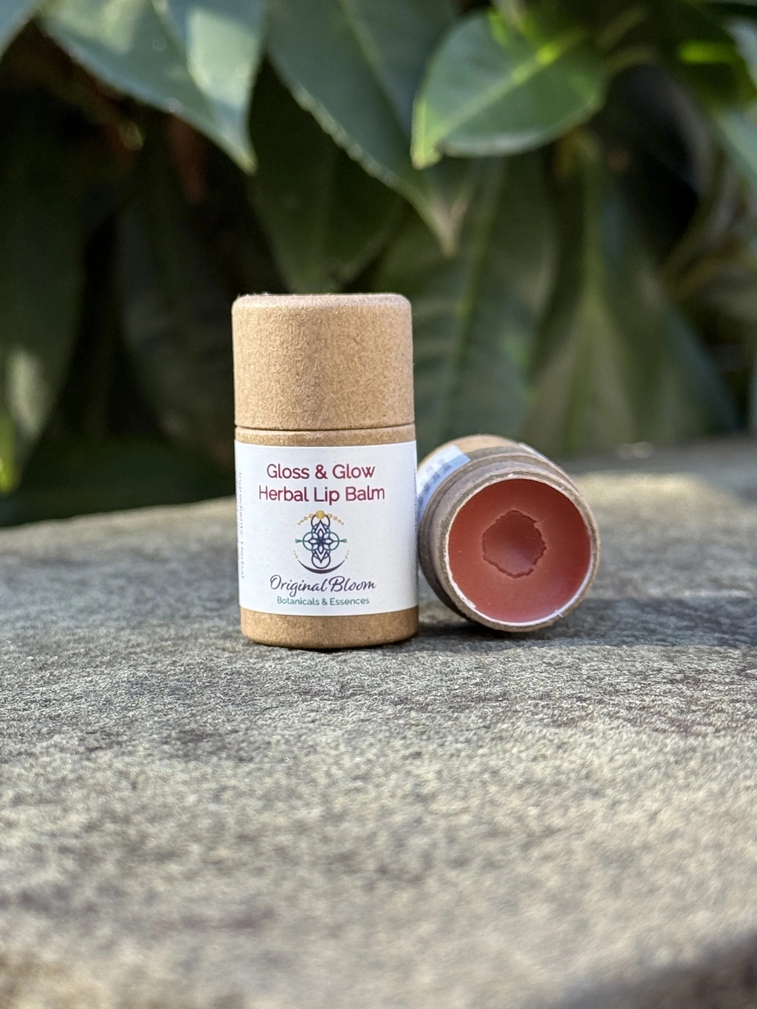 Gloss & Glow ~ Tinted Herbal Lip Balm