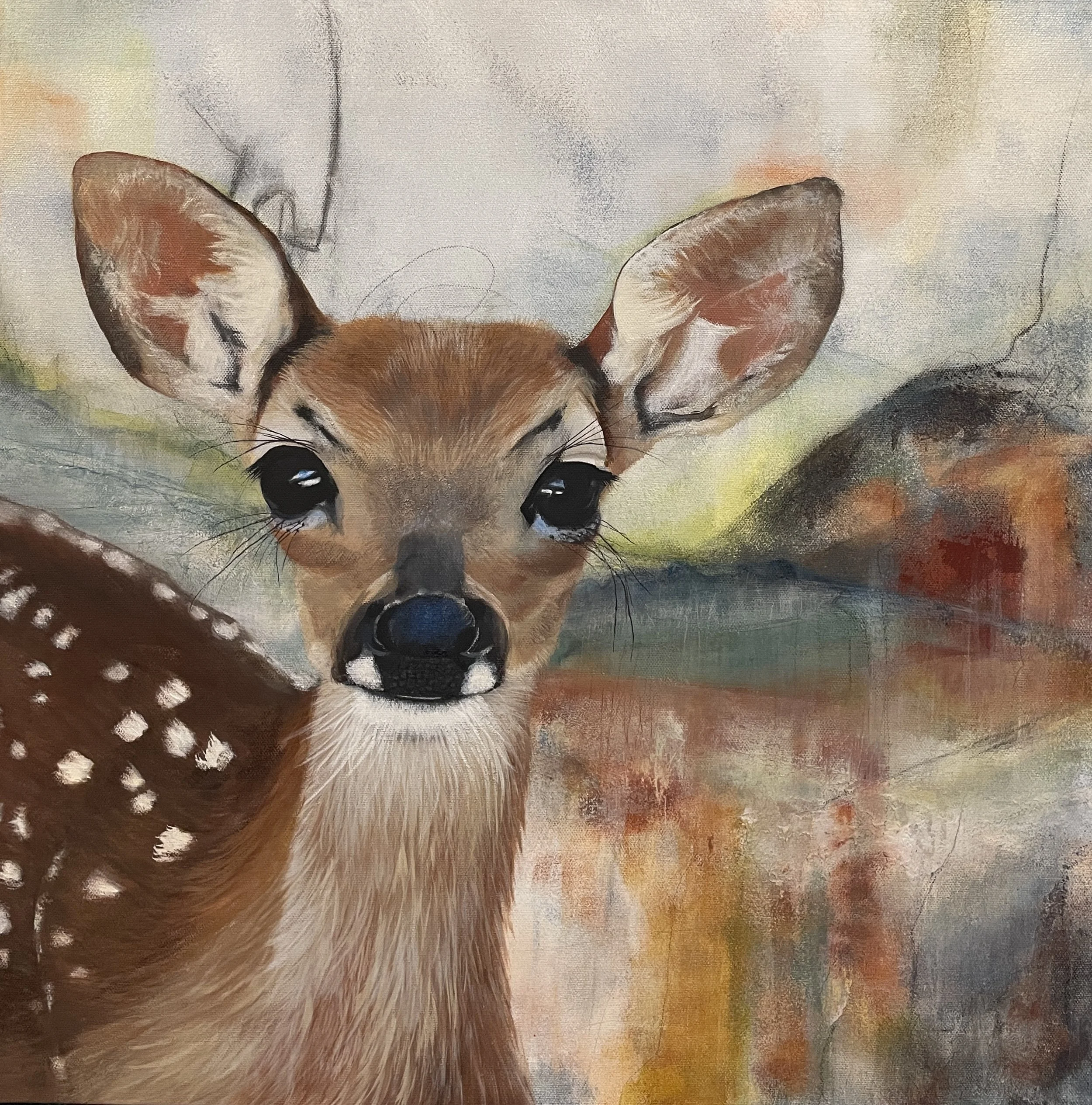 Morning's First Light