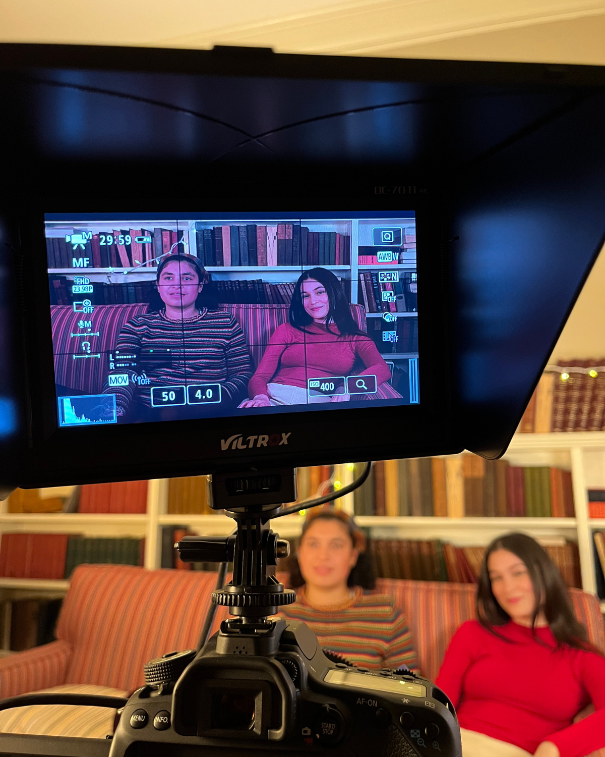 THE WINGED DETECTIVES (2022)