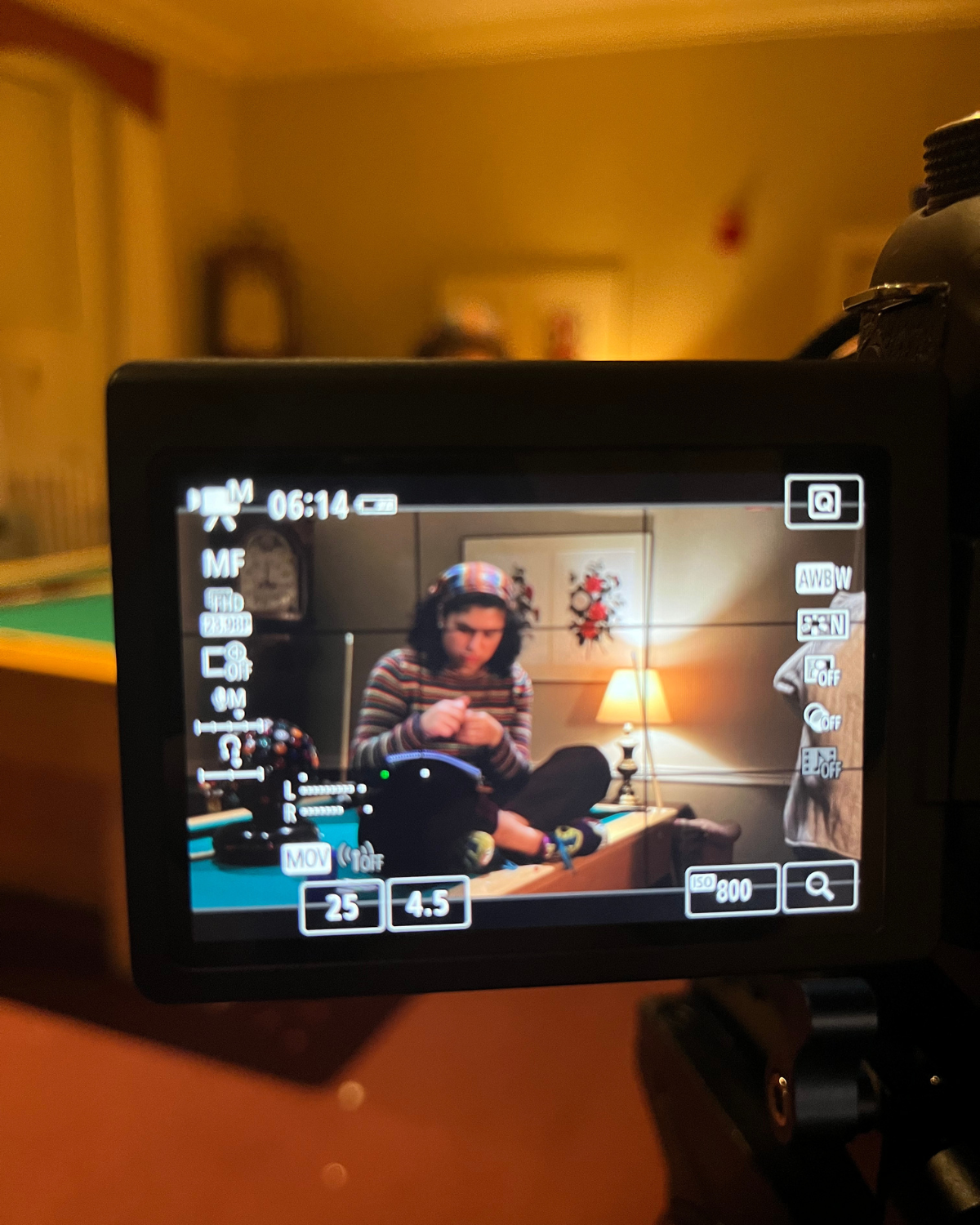 THE WINGED DETECTIVES (2022)