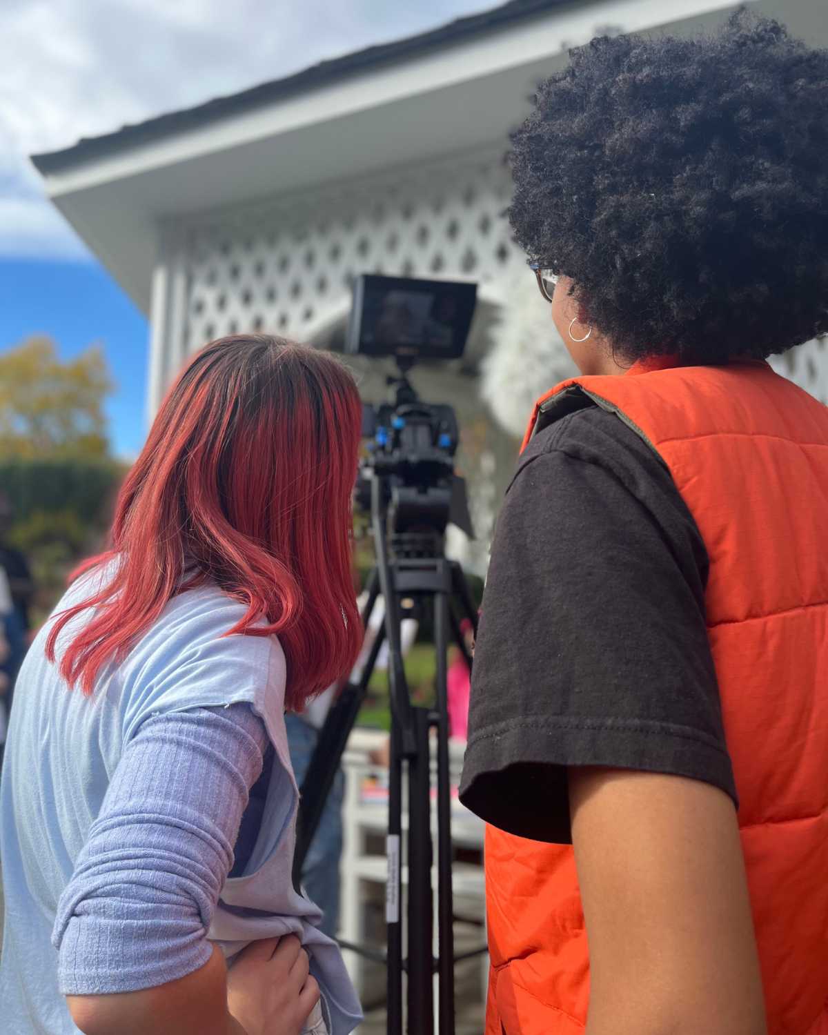 THE WINGED DETECTIVES (2022)