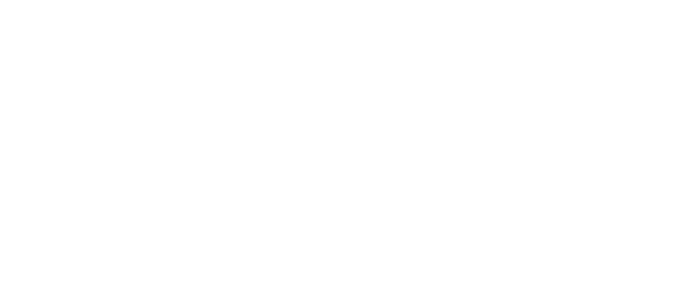 Standard Online Coaching