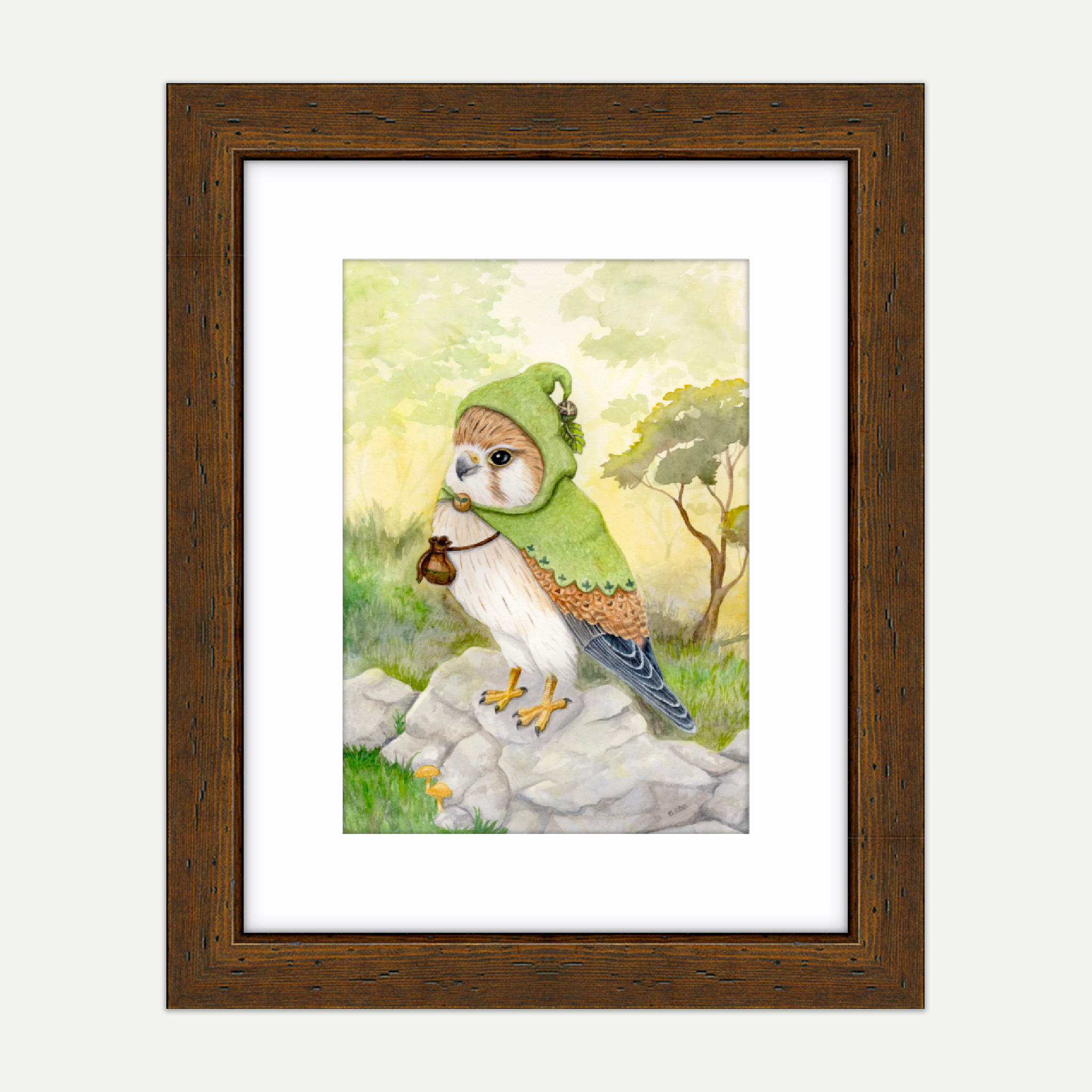 Nankeen Kestrel Print Framing Example.png