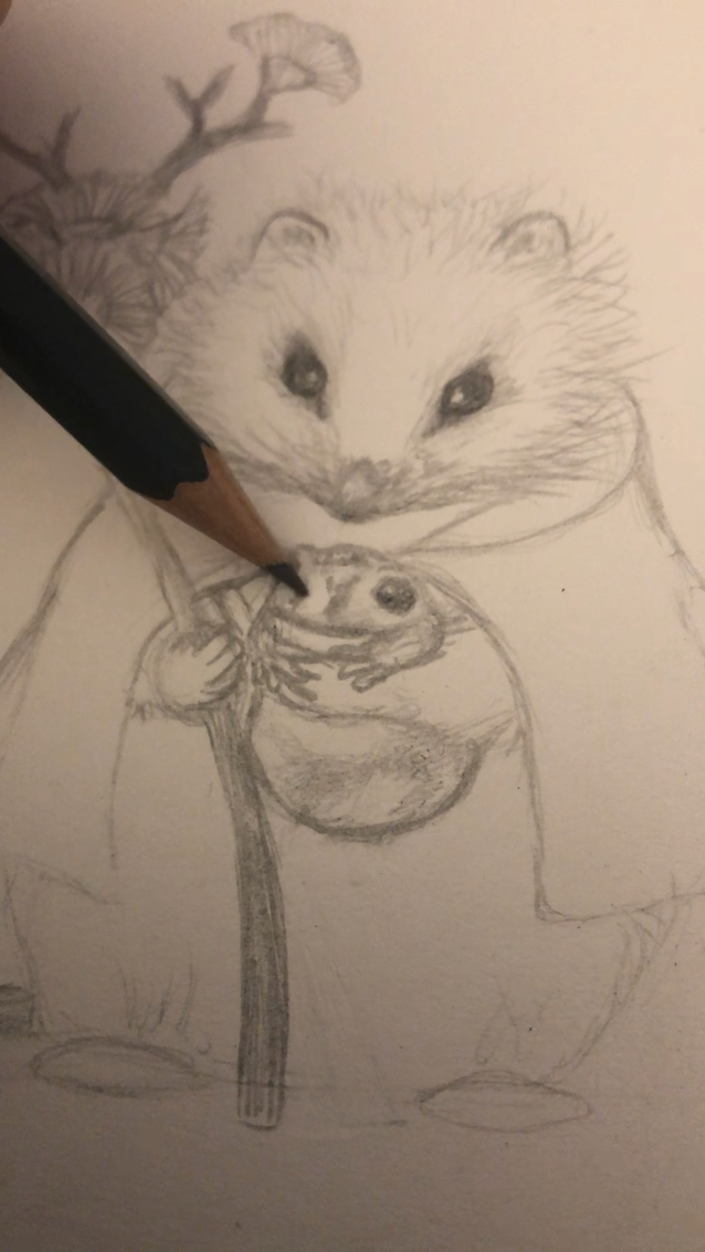 Sketching a broad-toothed rat with a southern corroborree frog holding a snow gum branch