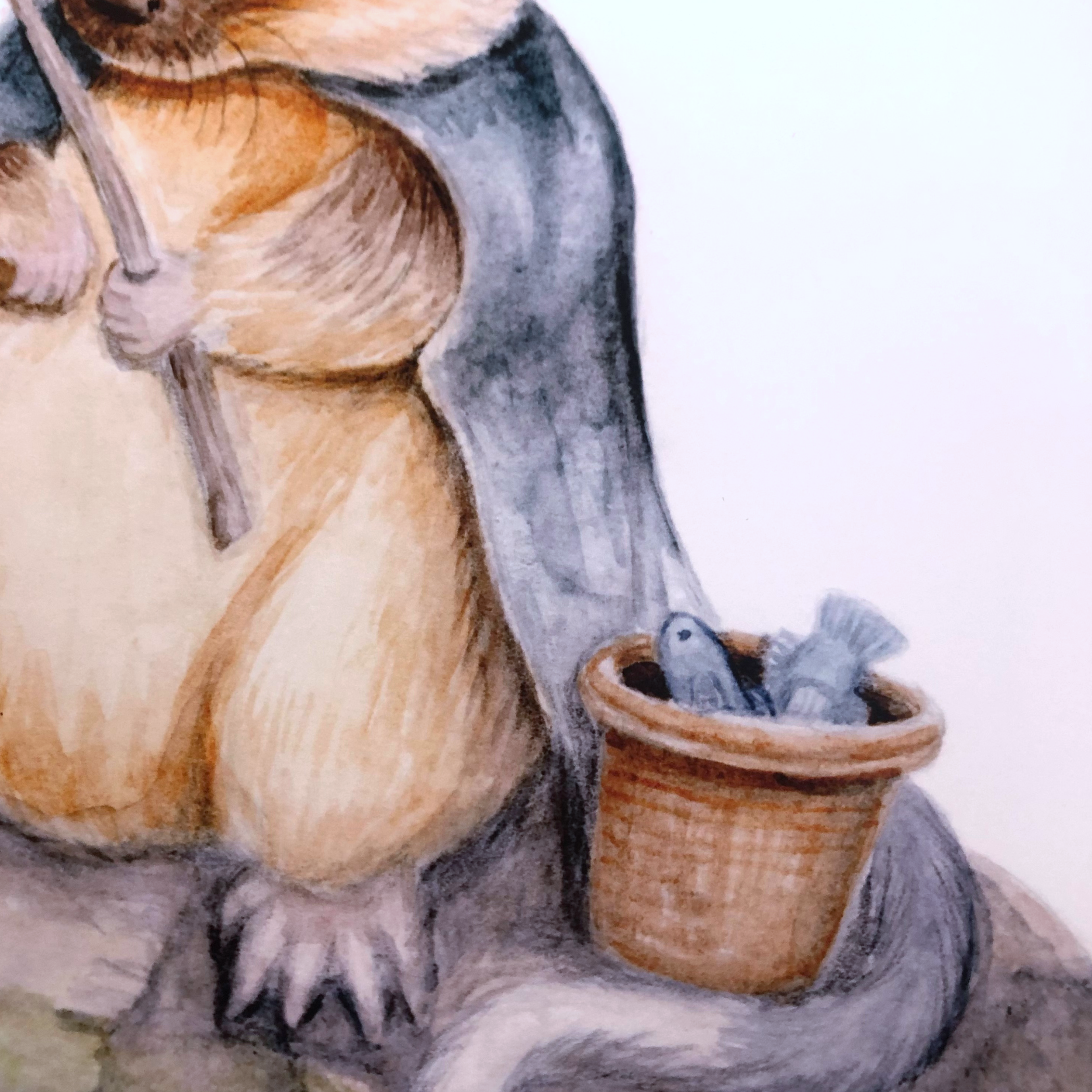 Rakali-fishing-watercolour-painting-a4-print-2.png