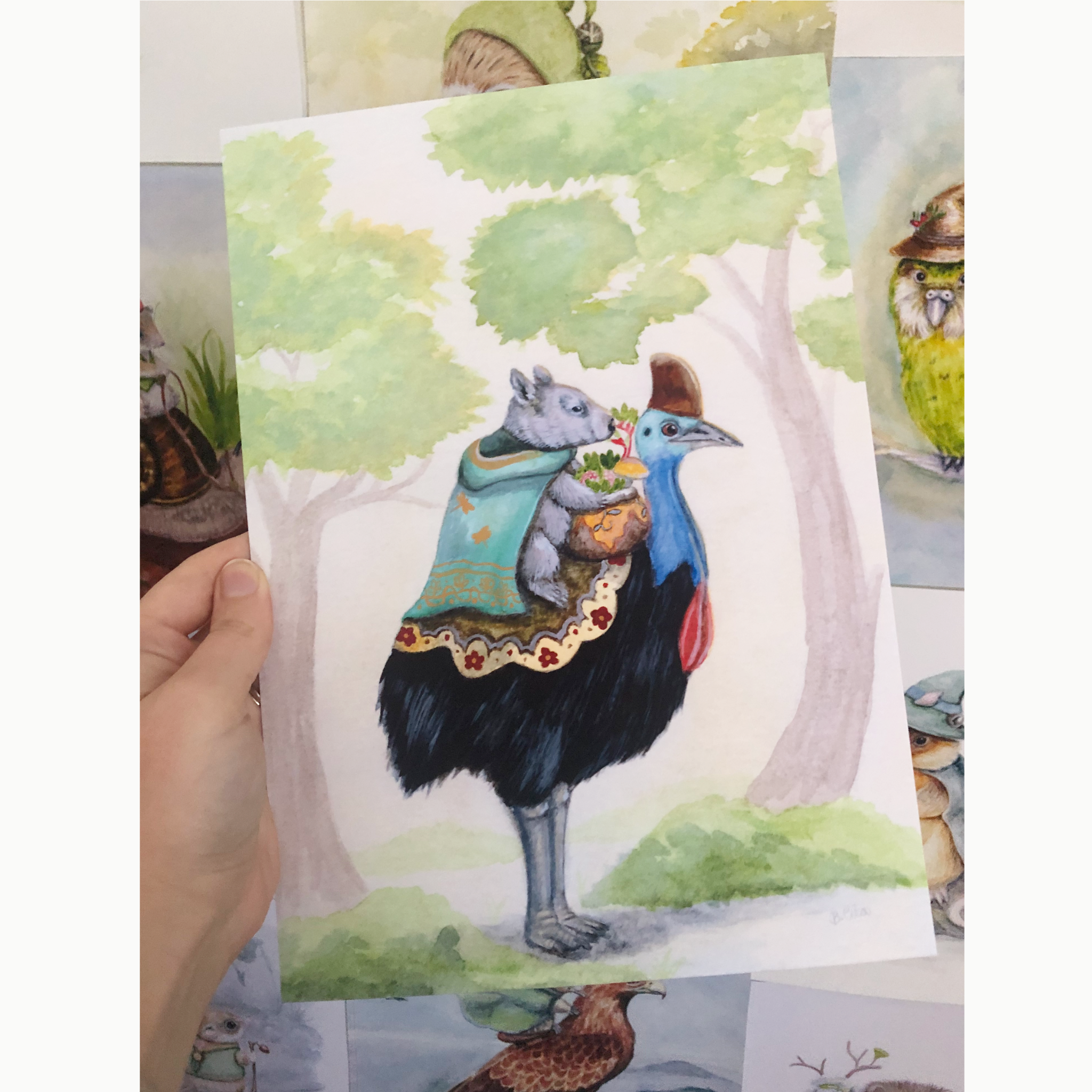 Cassowary-northern-hairy-nosed-wombat-3.png