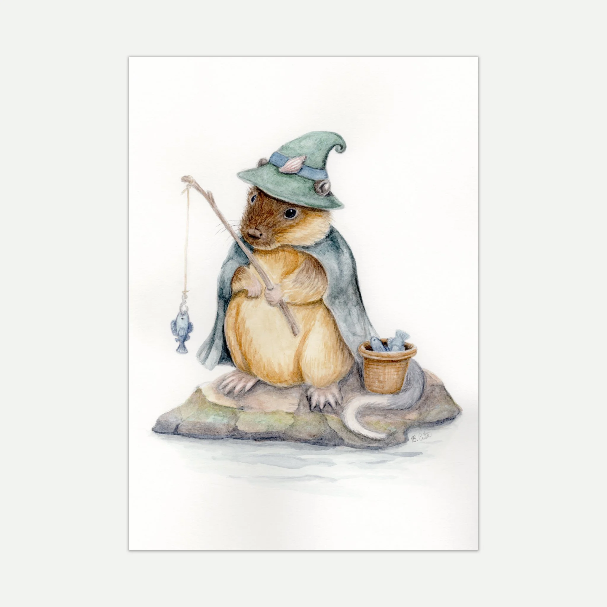 Rakali - Native Australian Water Rat A4 Print