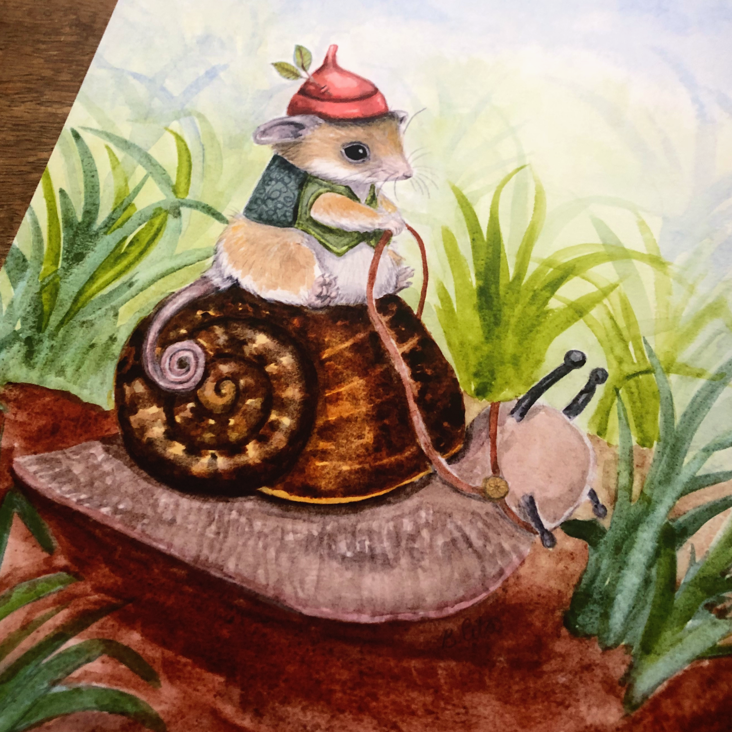 western-pygmy-possum-and-giant-panda-snail-a4-print-1.png